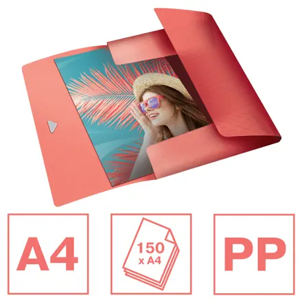 Esselte Colour'Breeze 3-Flap Folder PP