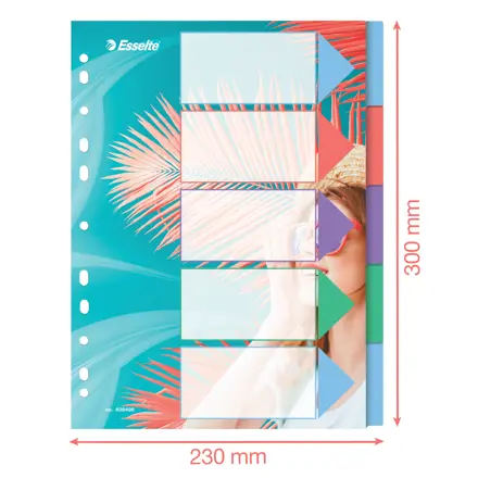 Esselte Colour'Breeze A4 Hakemisto 5 välilehteä PP