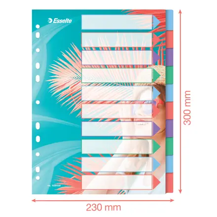 Esselte Colour'Breeze A4 Hakemisto 10 välilehteä, PP