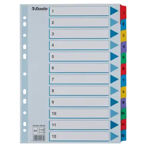 Esselte kartonkirekisteri Mylar A4