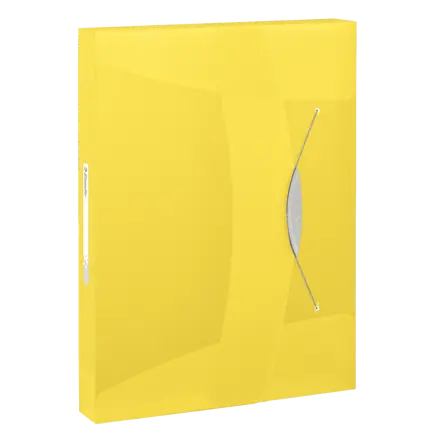 Esselte VIVIDA documentenbox, transparant