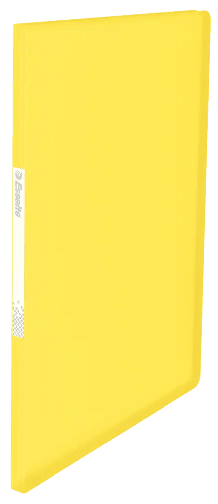 Display Book Esselte Vivida PP 20 pockets