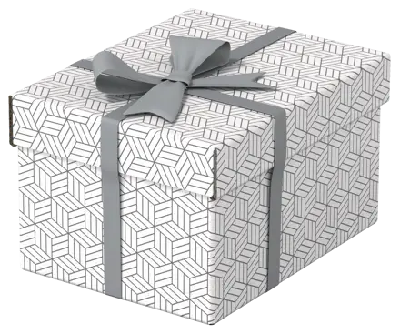 Esselte Scatola archivio per la casa e scatola regalo Small, Confezione 3 pz