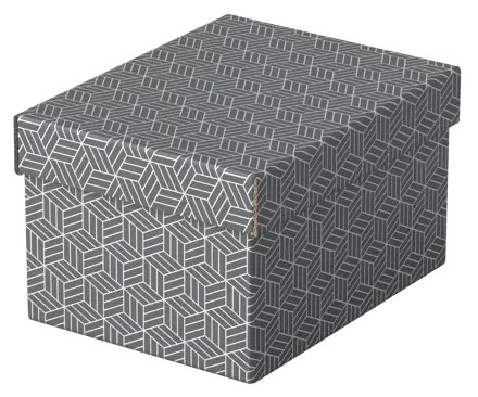 Boîte de rangement/cadeau pour la maison Esselte, petit format, lot de 3
