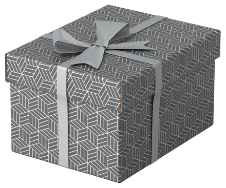 Boîte de rangement/cadeau pour la maison Esselte, petit format, lot de 3
