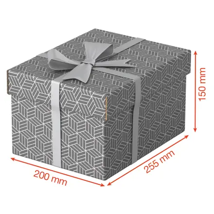 Boîte de rangement/cadeau pour la maison Esselte, petit format, lot de 3