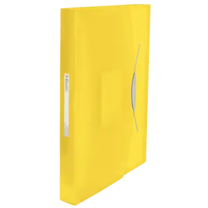 Projektmapp Esselte Vivida PP