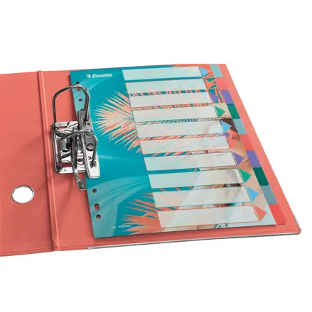 Esselte Colour'Breeze A4 Indices 10 Tabs, PP
