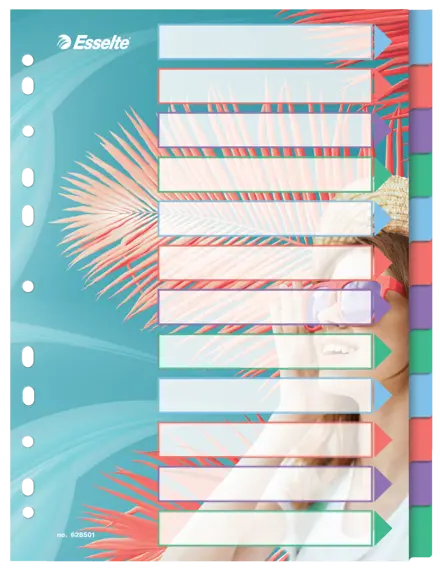 Esselte Colour'Breeze A4 Indices 12 Tabs, PP