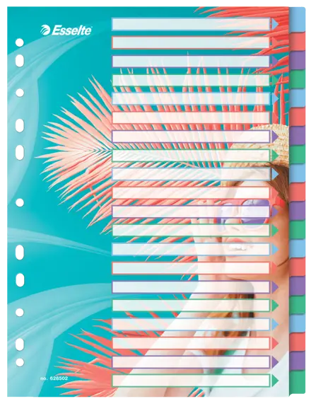 Esselte Colour'Breeze A4 Indices 20 Tabs, PP