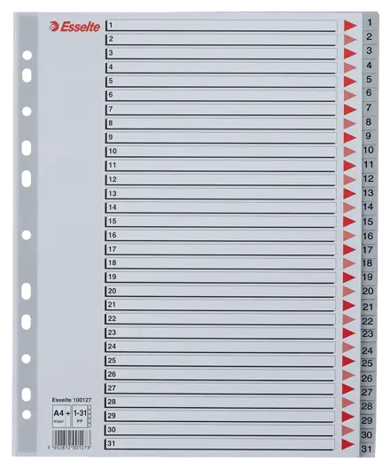 Register Esselte PP A4 maxi grå