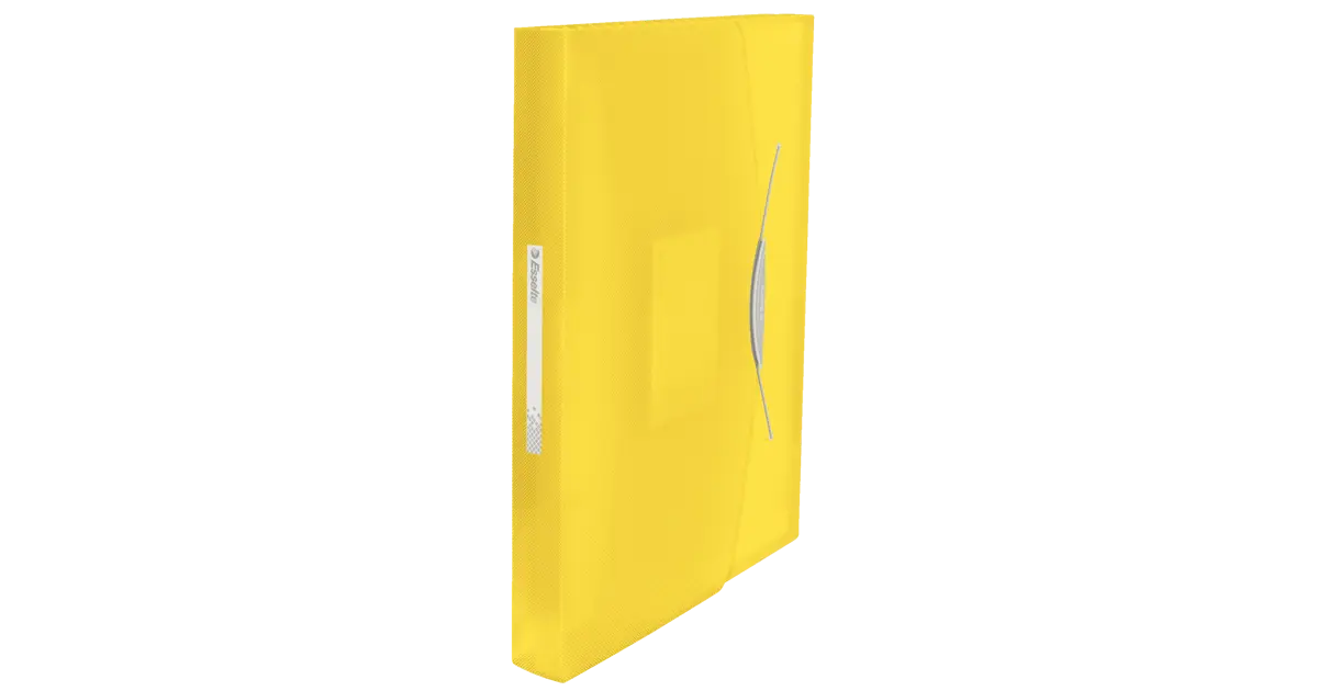 Esselte VIVIDA Expanding Concertina File, translucent ESSELTE