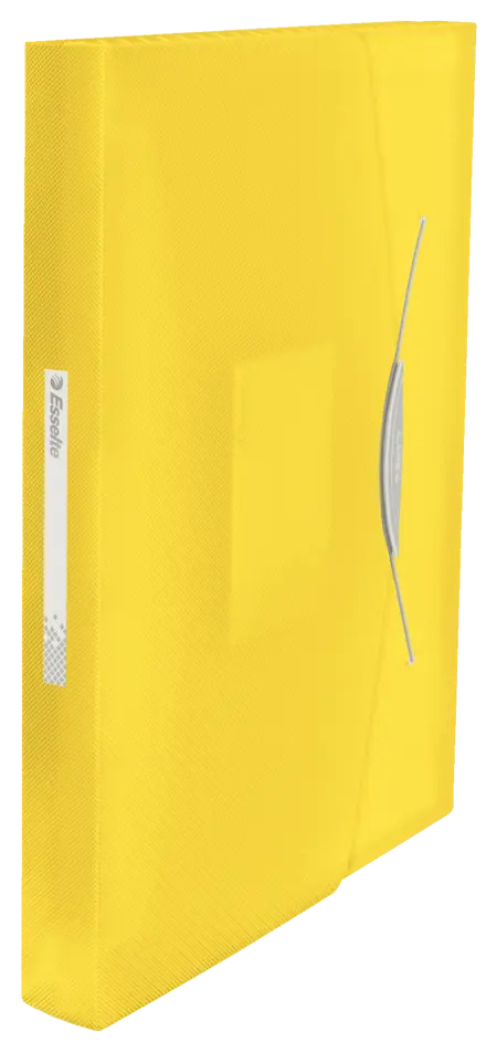 Esselte VIVIDA Expanding Concertina File, translucent