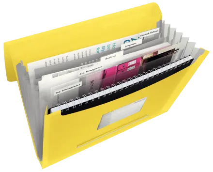 Esselte VIVIDA Expanding Concertina File, translucent