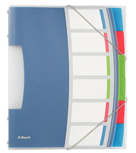 Livro Divisor Esselte VIVIDA, translúcido