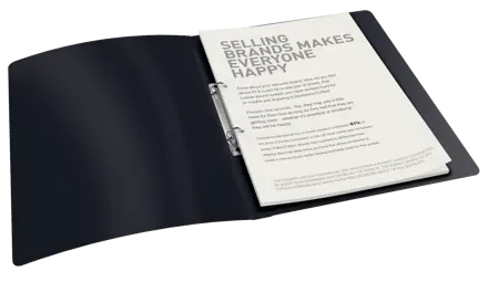 Esselte VIVIDA Ring Binder, translucent