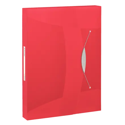 Box File Esselte Vivida PP A4 40 mm