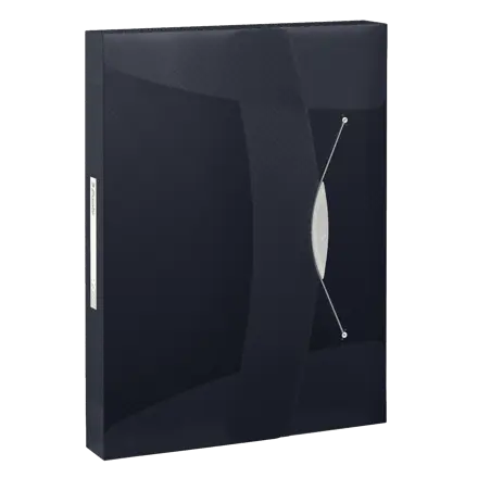 Esselte VIVIDA Box File, translucent