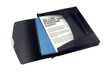 Esselte VIVIDA Box File, translucent