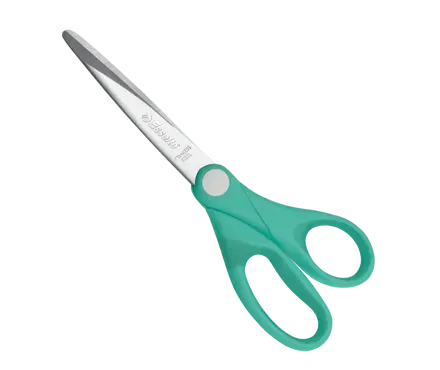 Saks Esselte Colour'Ice 180 mm