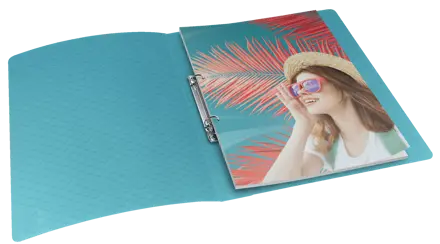 Esselte Colour'Breeze rengaskansio A4 2RR/25mm