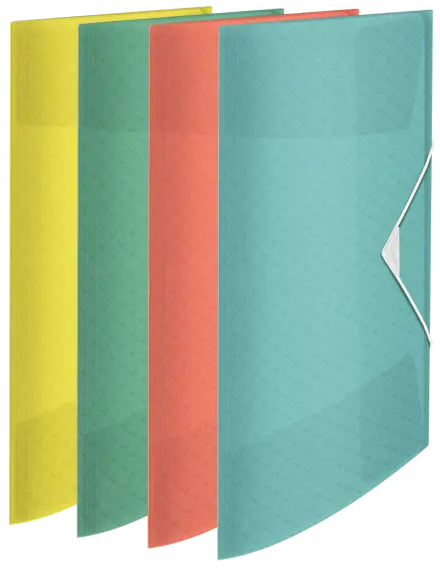 Esselte Colour'Ice Φάκελος Με 3 Αυτιά