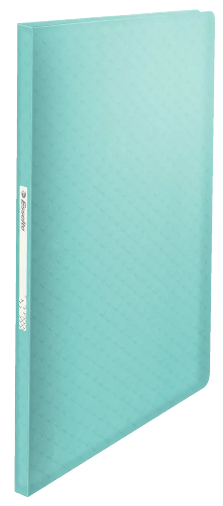 Esselte Colour'Ice Display Book with 40 pockets