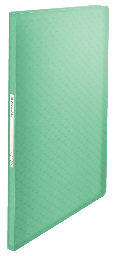 Esselte Colour'Ice Display Book with 40 pockets