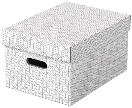 Esselte Home Storage Box Medium, Pack of 3