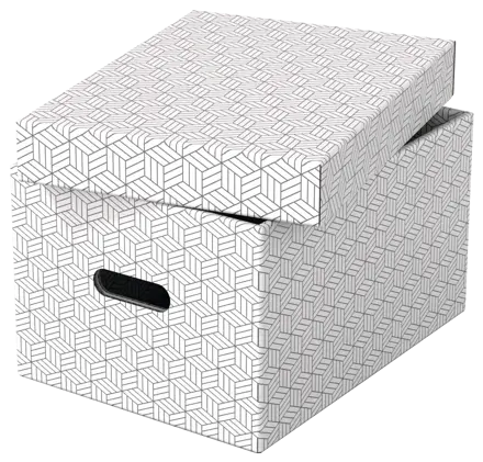 Esselte Home Storage Box Medium, Pack of 3