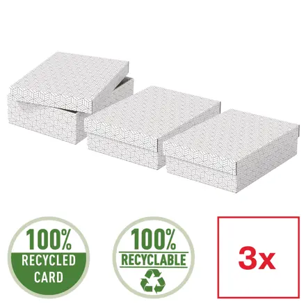 Caja de almacenamiento y regalo para el hogar Esselte mediana, paquete de 3
