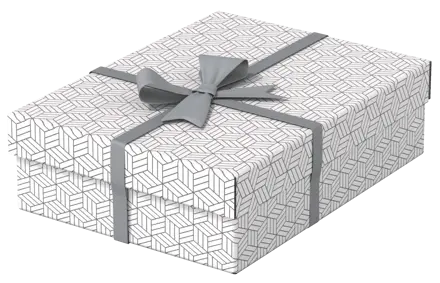 Caja de almacenamiento y regalo para el hogar Esselte mediana, paquete de 3