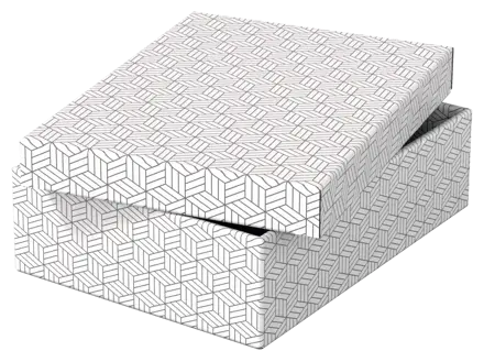 Caja de almacenamiento y regalo para el hogar Esselte mediana, paquete de 3