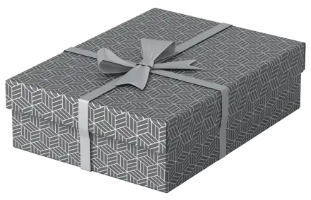 Esselte Home Storage and Gift Box Medium, Pack of 3