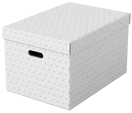 Caja de almacenamiento para el hogar Esselte grande, paquete de 3
