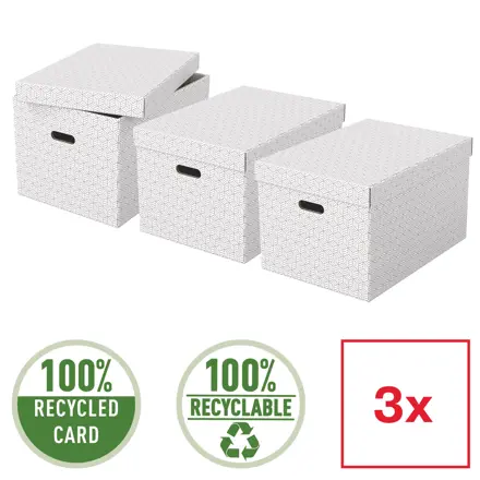 Caja de almacenamiento para el hogar Esselte grande, paquete de 3