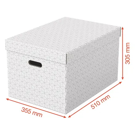 Caja de almacenamiento para el hogar Esselte grande, paquete de 3