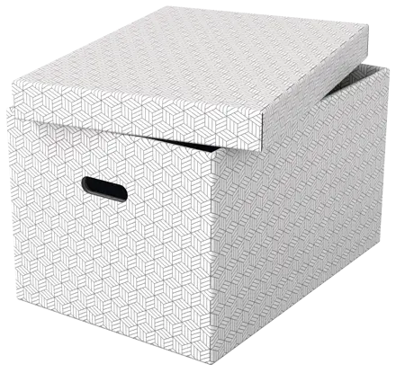 Caja de almacenamiento para el hogar Esselte grande, paquete de 3