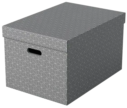 Esselte Home Storage Box Large, Pack of 3