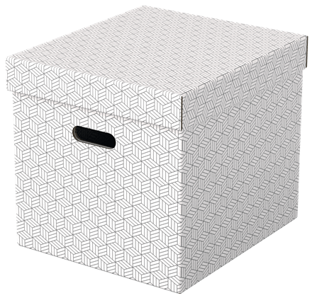 Caja de almacenamiento para el hogar Esselte mediana, paquete de 3