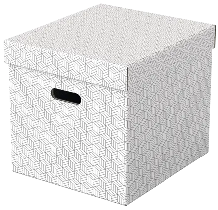 Esselte Home Storage Box Cube, Pack of 3