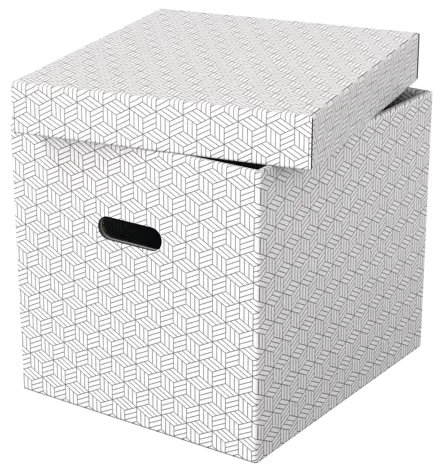 Esselte Home Storage Box Cube, Pack of 3