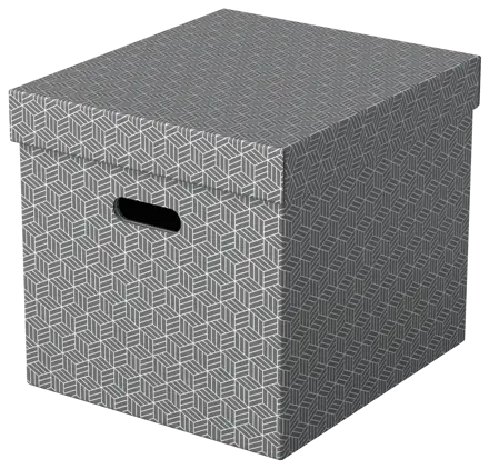 Esselte Home Storage Box Cube, Pack of 3