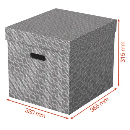 Esselte Home Storage Box Cube, Pack of 3