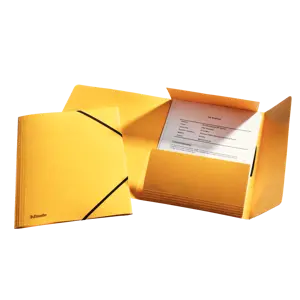 Farde à 3 rabats Rainbow Esselte avec bande élastiquée - Carton de haute qualité. Certifié FSC®. A4.