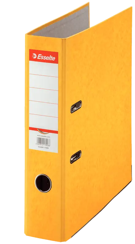 Esselte Rainbow ordner karton