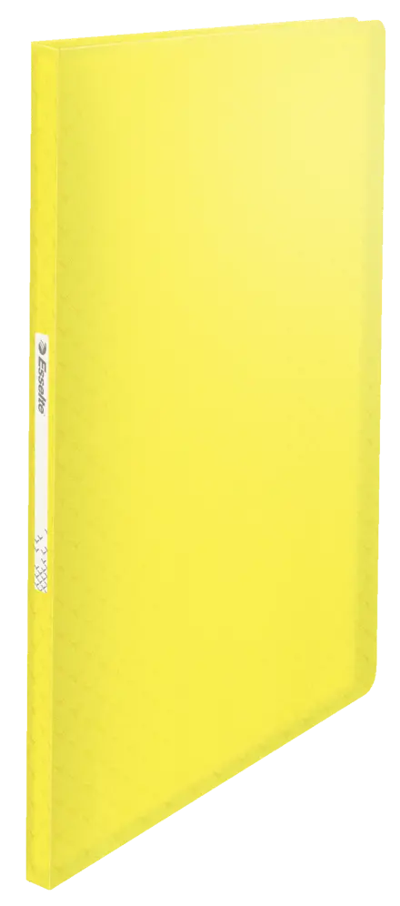 Esselte Colour'Ice Ντοσιέ Παρουσίασης με 60 ζελατίνες