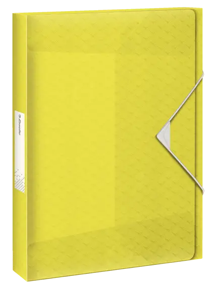 Cartella Progetti Maxi Colour'Ice Esselte