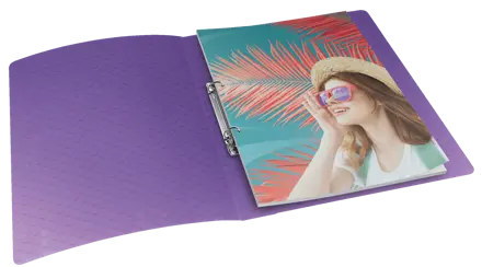 Esselte Colour'Breeze rengaskansio A4 2RR/25mm
