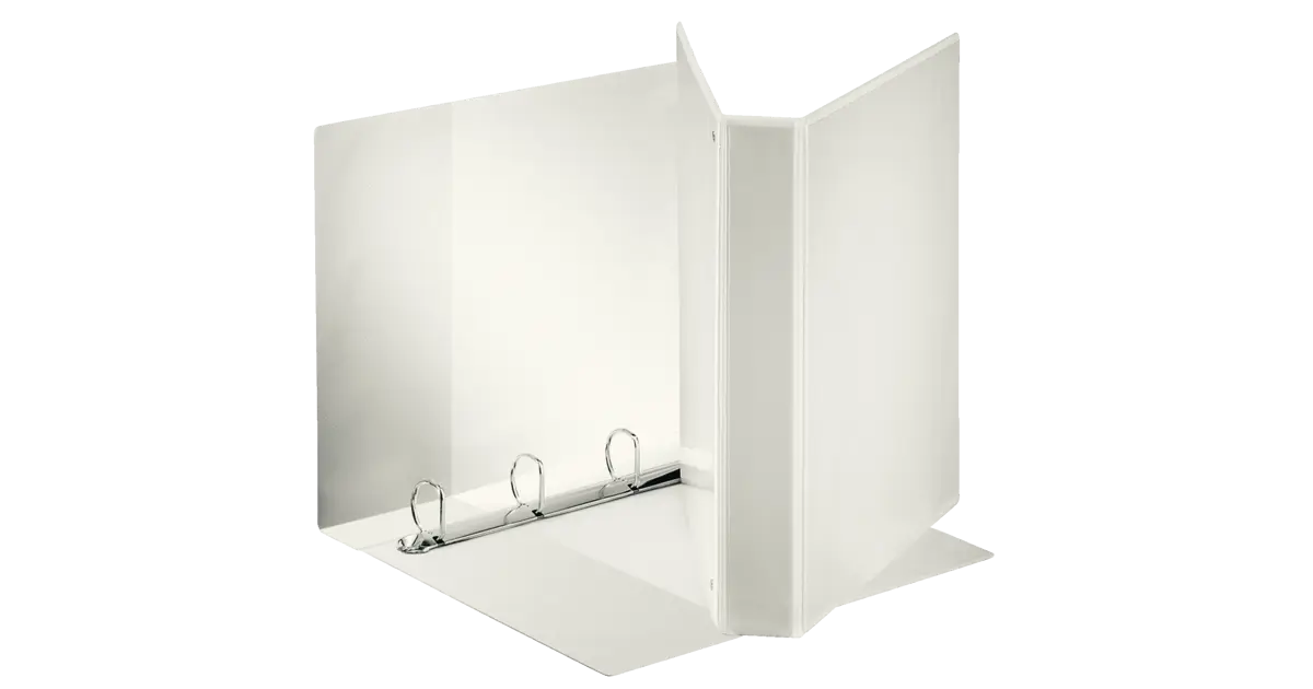 Raccoglitore Esselte Display PP - 2 Tasche, 4 Anelli 65 Mm, Formato Maxi Bianco - Foto 2